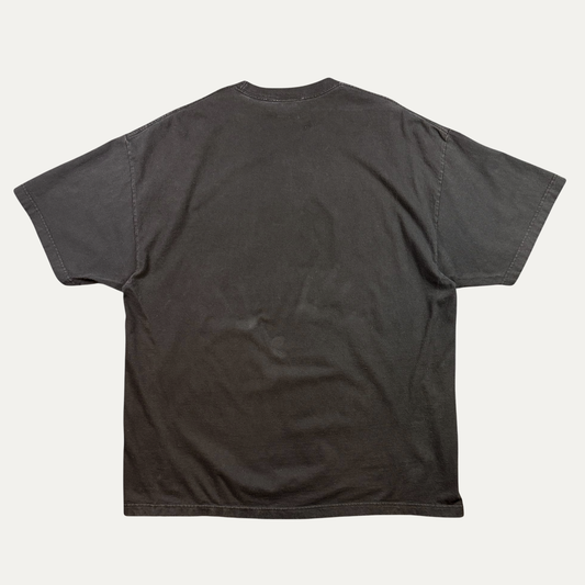 2009 Pittsburgh Steelers Super Bowl Champions T-Shirt