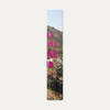 Anti Social Social Club Incense