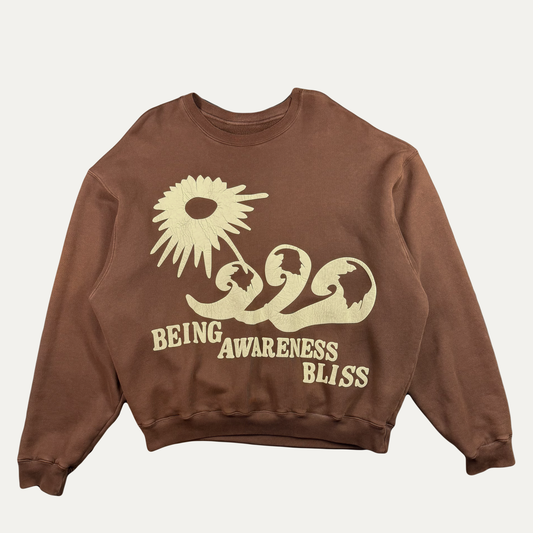 Cactus Plant Flea Market Being Awareness Bliss Crewneck Sweatshirt
