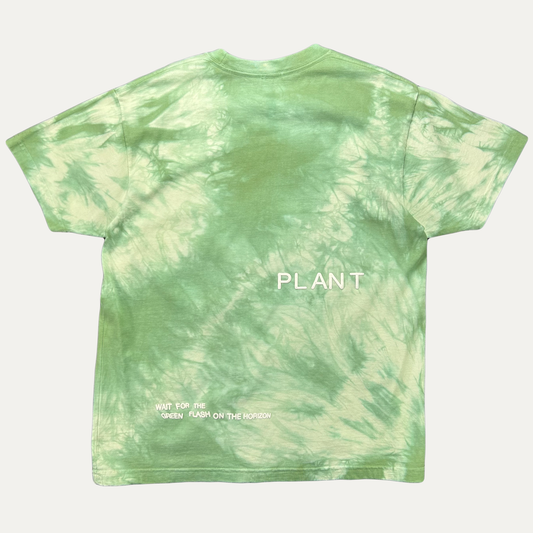 Cactus Plant Flea Market We Are All Powered By The Sun T-Shirt