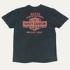 Harley Davidson Don't Mess With Texas T-Shirt