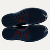 Jordan 12 Retro French Blue (2025)