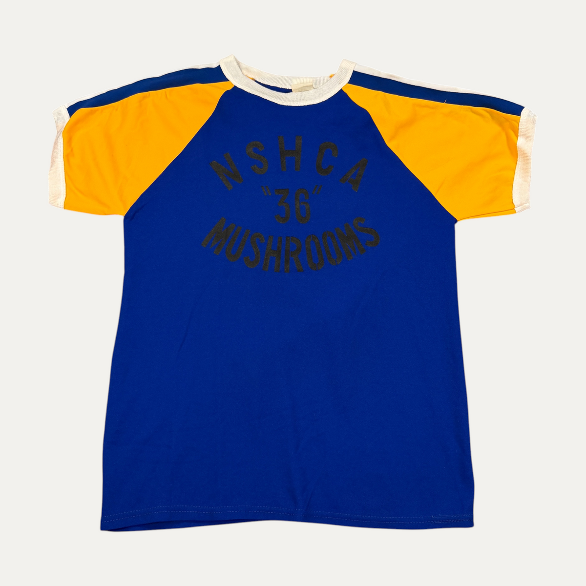 Vintage 70s NSHCA ’36 Mushrooms T-Shirt