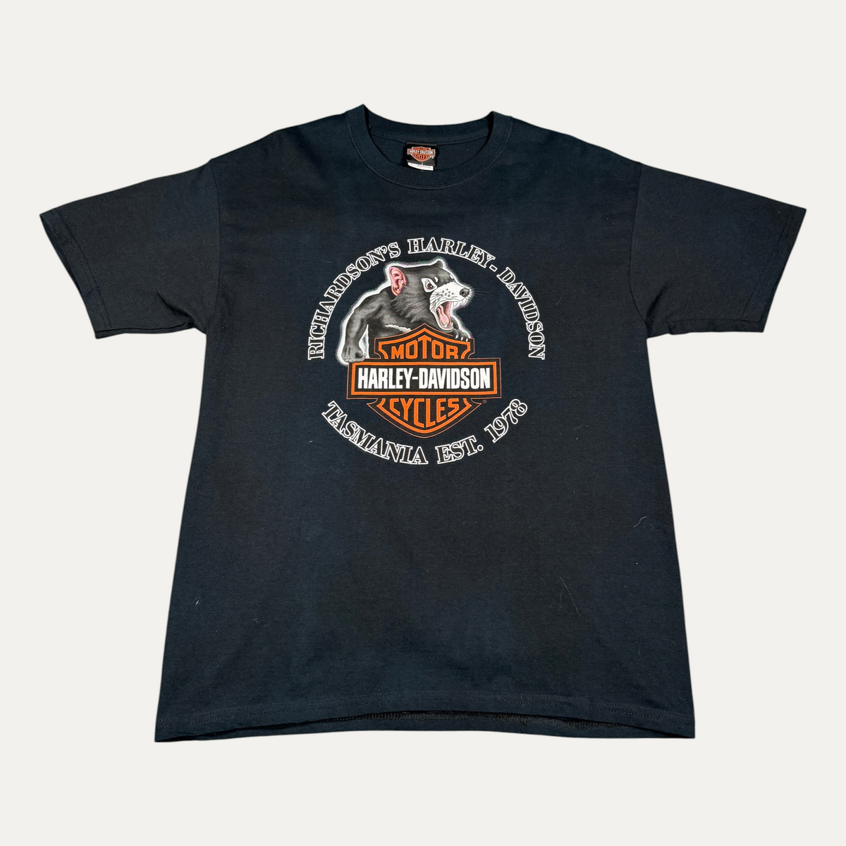 Vintage 2004 Harley Davidson T-Shirt