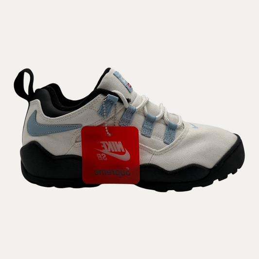 Nike SB Darwin Sneakers
