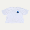 Stussy Star Pigment Dyed T-Shirt