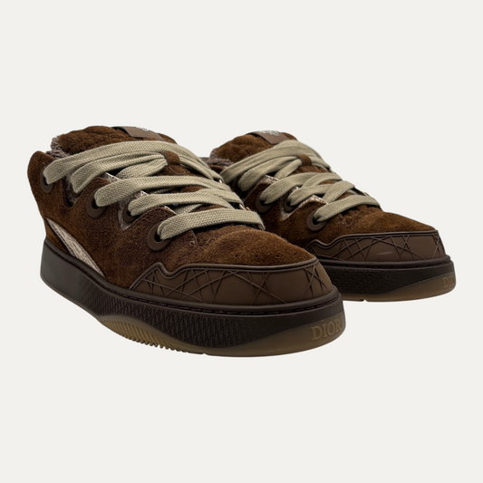Dior B9 ERL Suede Brown
