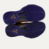 Nike Kobe 5 Protro Undefeated Hall Of Fame Gold