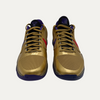 Nike Kobe 5 Protro Undefeated Hall Of Fame Gold
