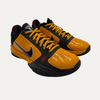 Nike Kobe 5 Protro Bruce Lee