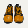 Nike Kobe 5 Protro Bruce Lee