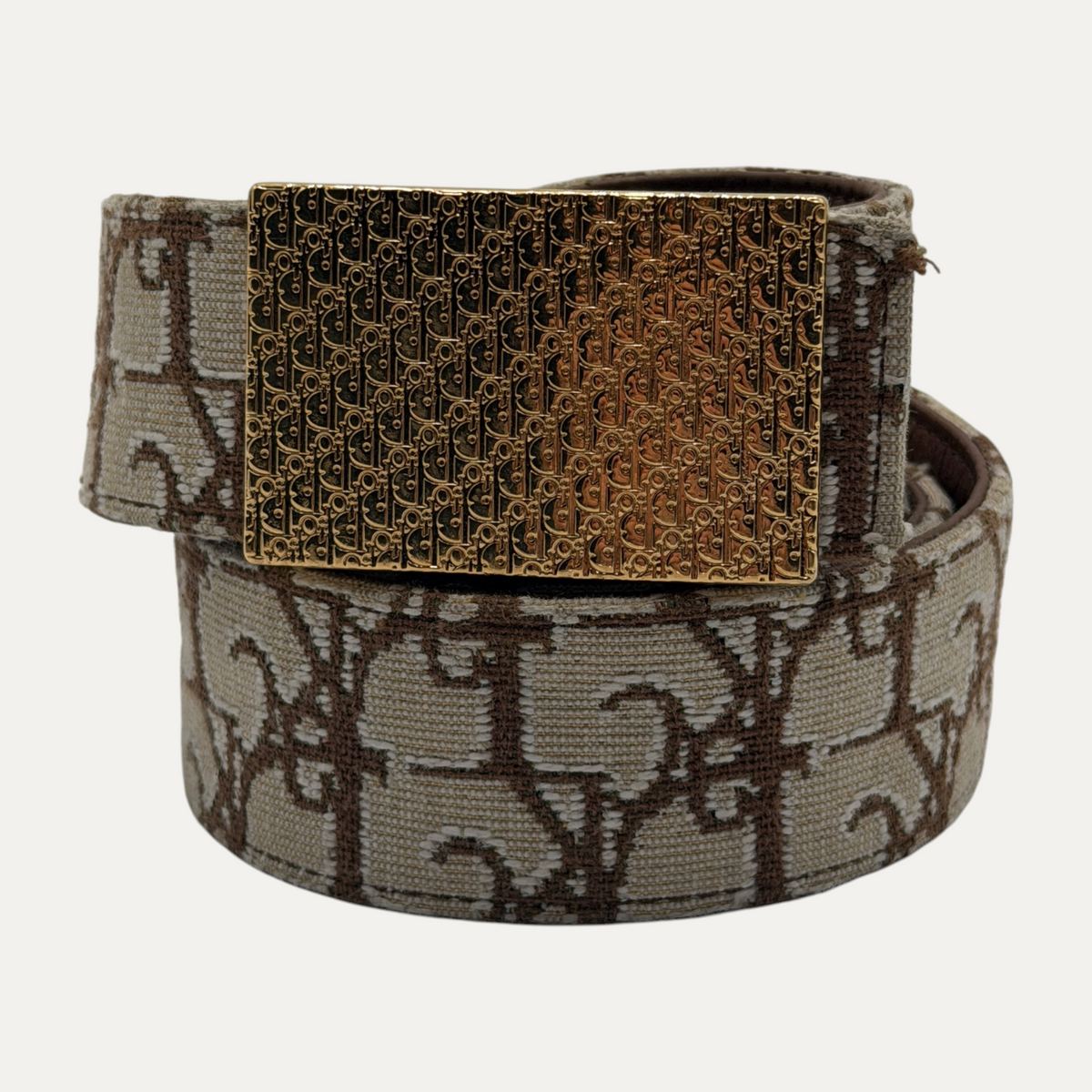 Dior Cactus Jack Gold Belt