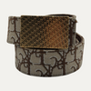 Dior Cactus Jack Gold Belt