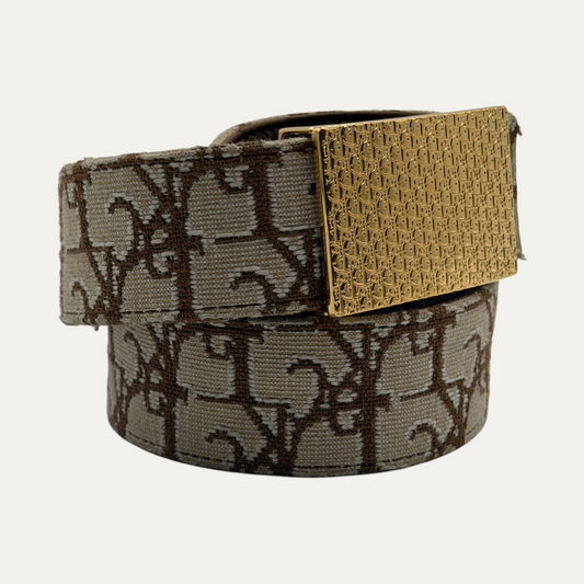 Dior Cactus Jack Gold Belt