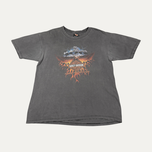 Faded Harley Davidson Idaho T-Shirt