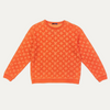 Louis Vuitton Monogram Jacquard Sweater
