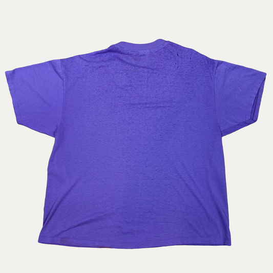 Vintage Jesus Exploring God's Amazing Plan T-Shirt