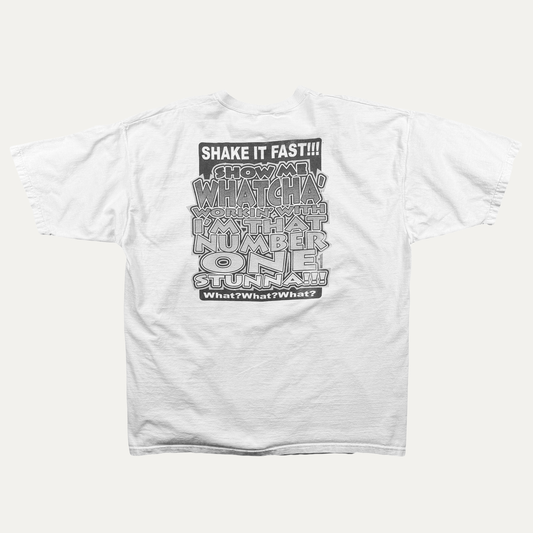 Vintage 2000 Albany State University Homecoming T-Shirt